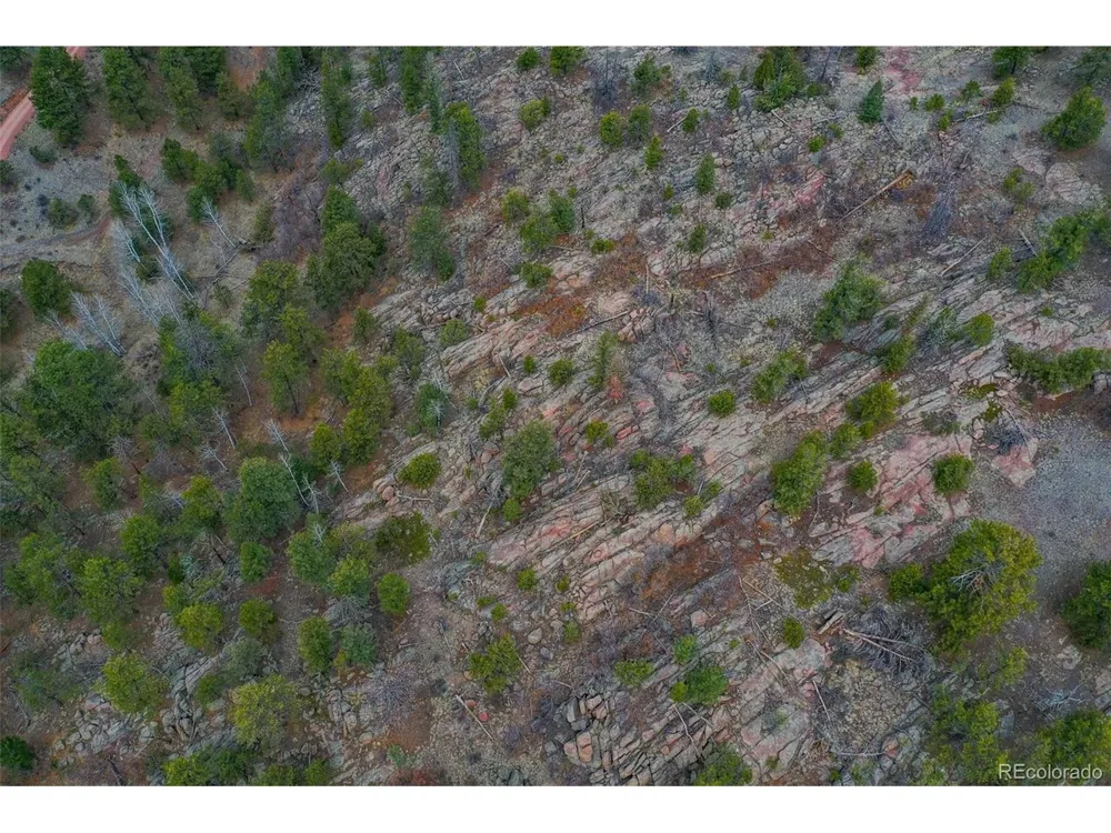 487 Pike View Lane Florissant, CO 80816