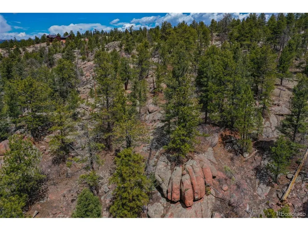 487 Pike View Lane Florissant, CO 80816