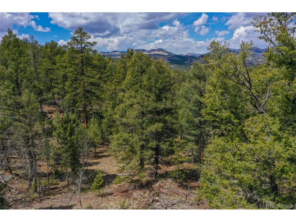 487 Pike View Lane Florissant, CO 80816