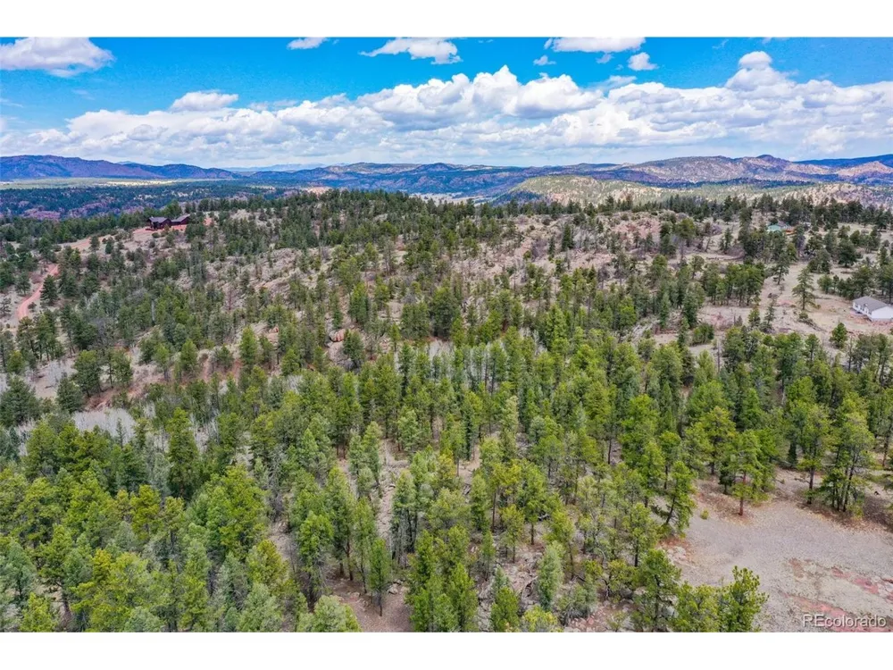 487 Pike View Lane Florissant, CO 80816