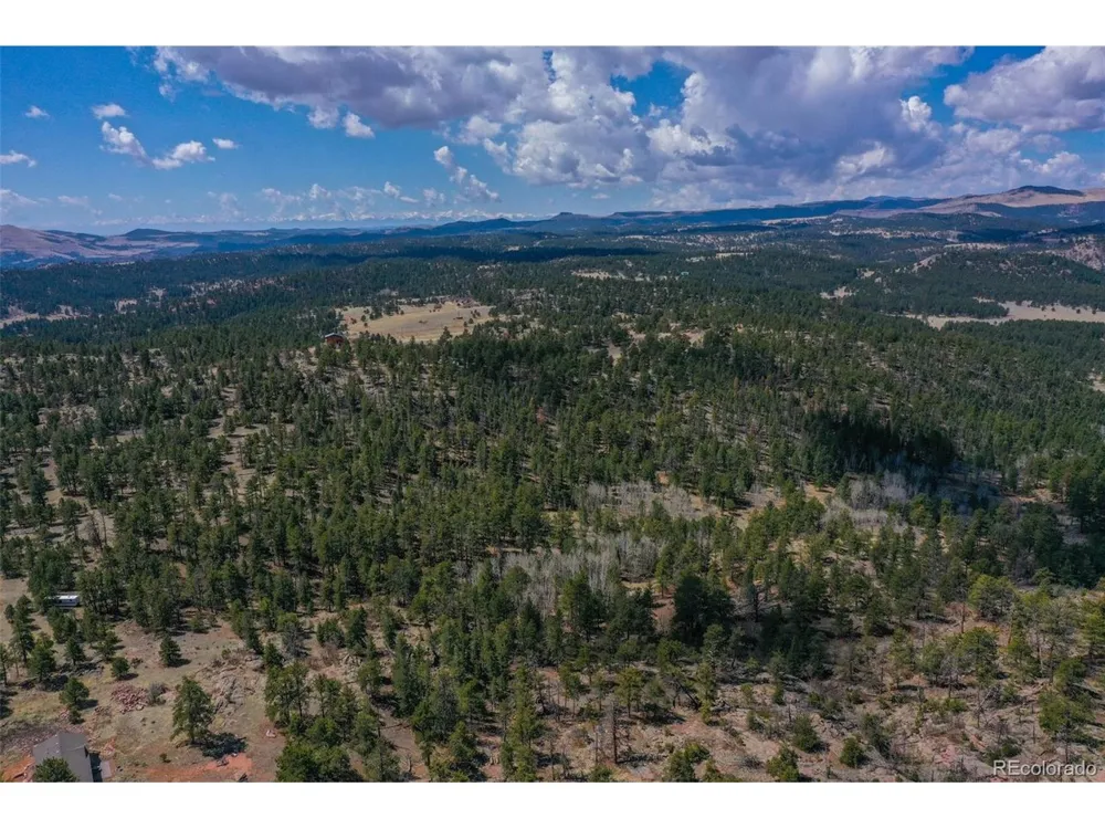 487 Pike View Lane Florissant, CO 80816