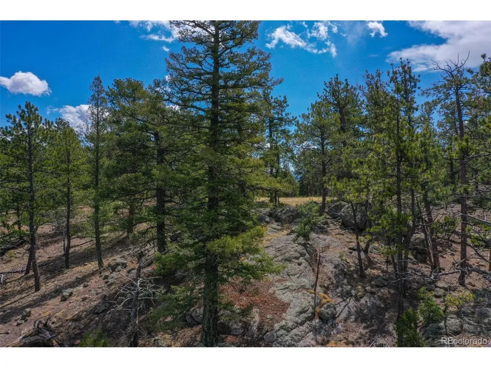 487 Pike View Lane Florissant, CO 80816
