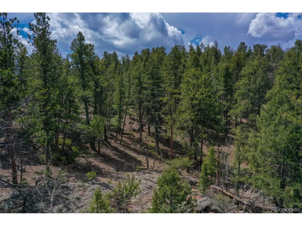 487 Pike View Lane Florissant, CO 80816