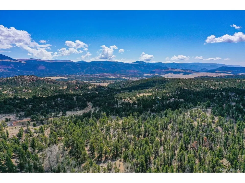 487 Pike View Lane Florissant, CO 80816
