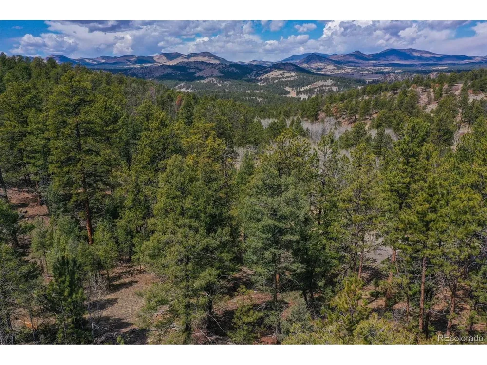 487 Pike View Lane Florissant, CO 80816