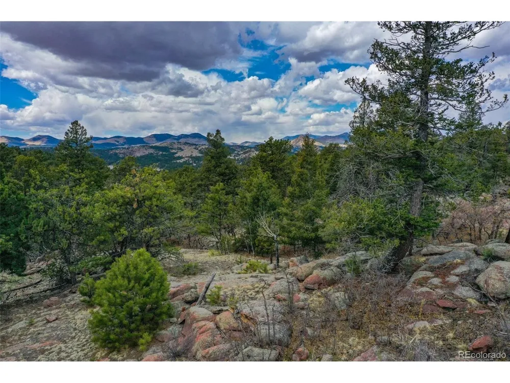 487 Pike View Lane Florissant, CO 80816