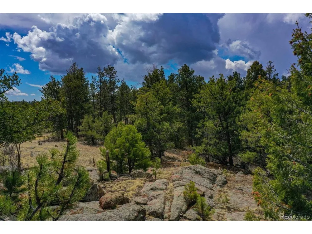 487 Pike View Lane Florissant, CO 80816