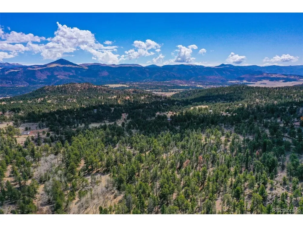487 Pike View Lane Florissant, CO 80816