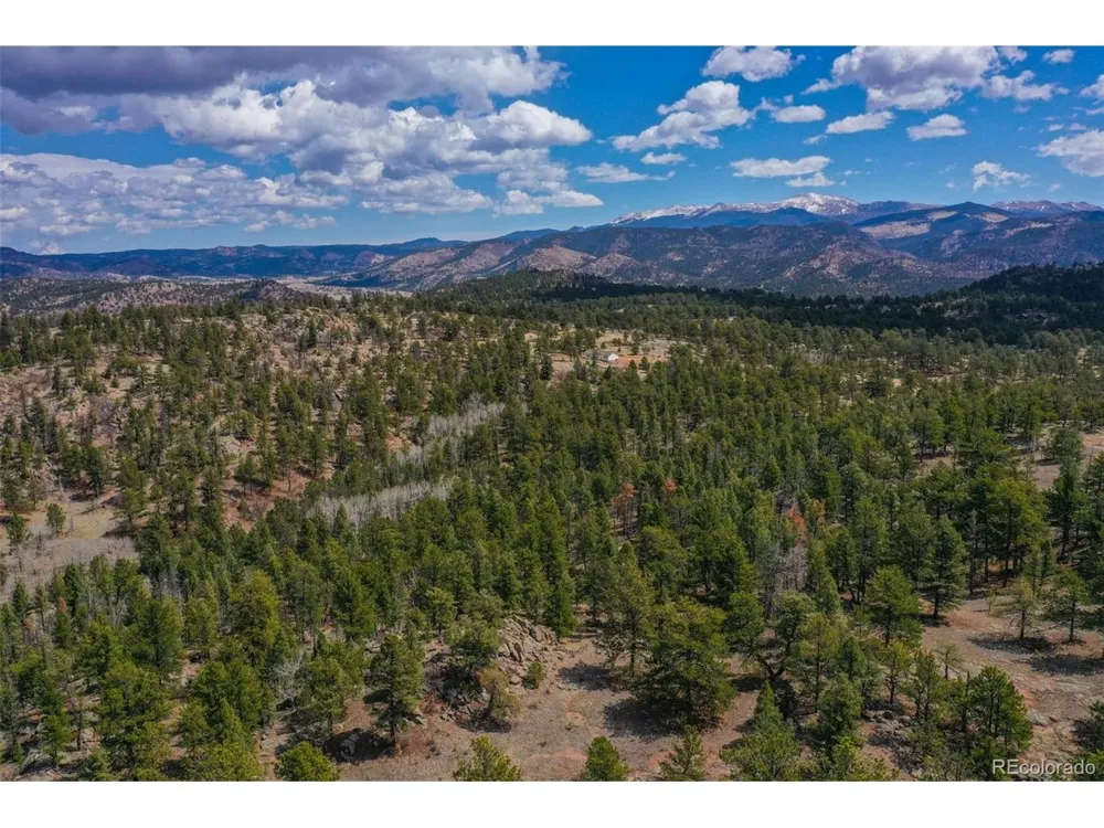487 Pike View Lane Florissant, CO 80816