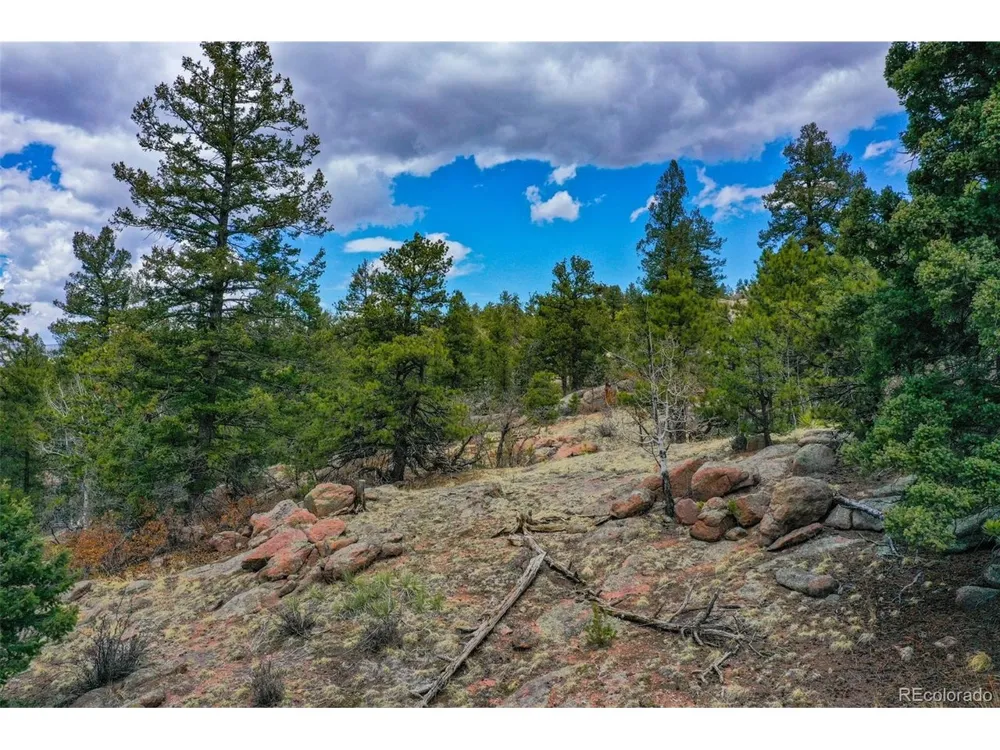 487 Pike View Lane Florissant, CO 80816