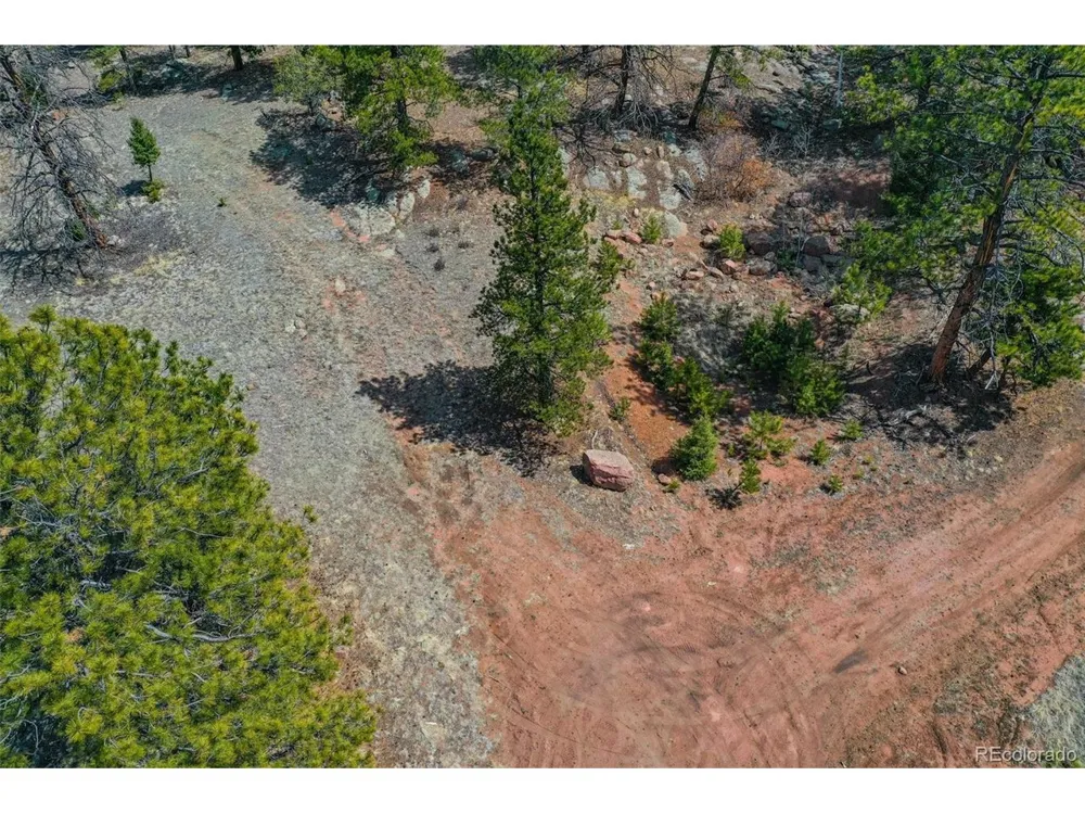 487 Pike View Lane Florissant, CO 80816