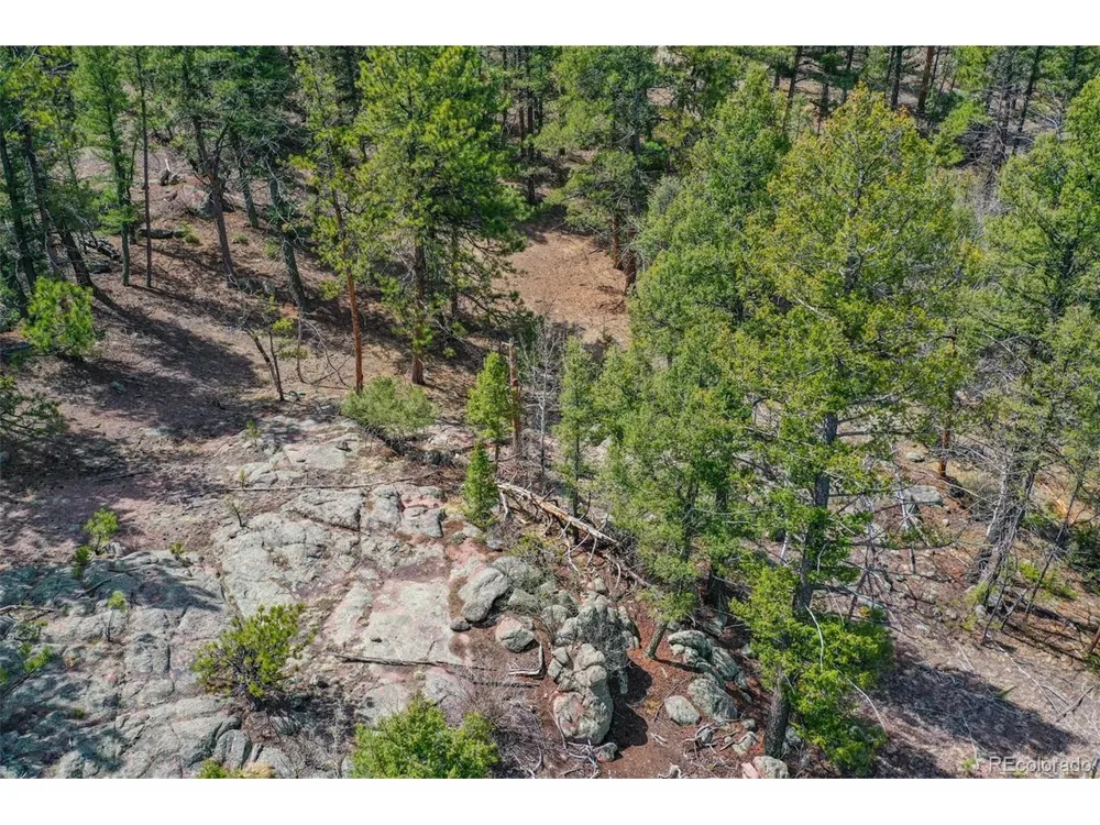 487 Pike View Lane Florissant, CO 80816