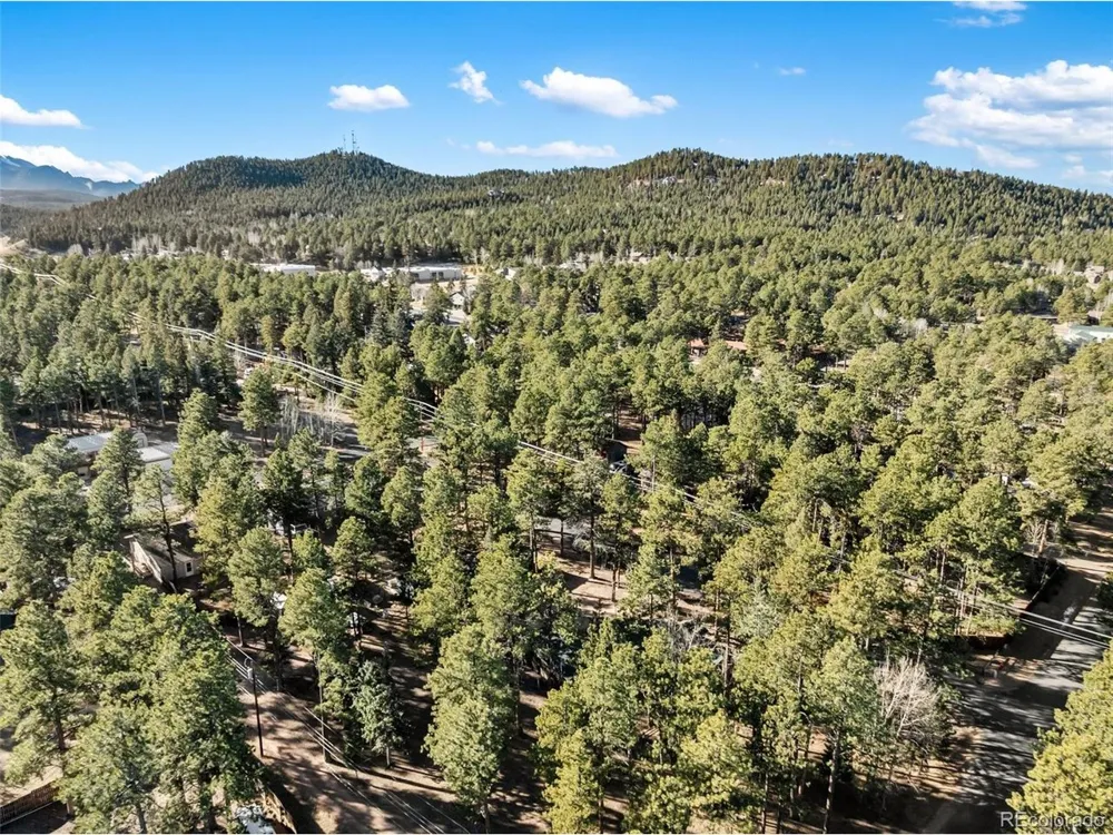 20 Echo Lake Drive Florissant, CO 80827