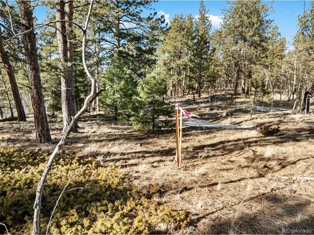 20 Echo Lake Drive Florissant, CO 80827
