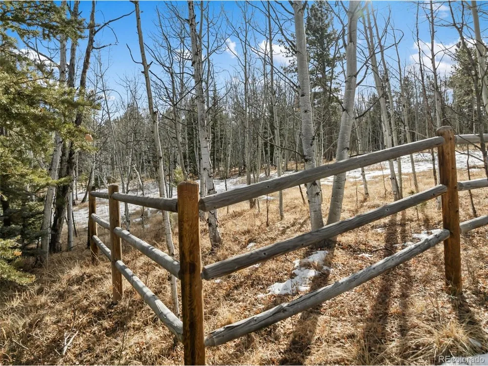 20 Echo Lake Drive Florissant, CO 80827