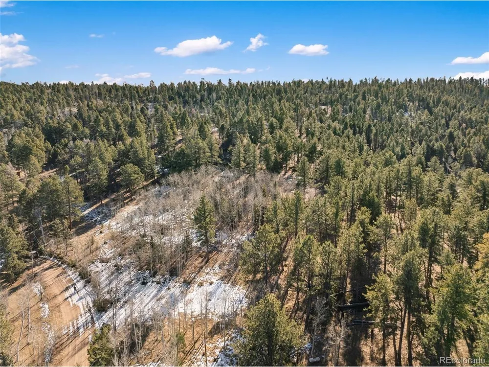 20 Echo Lake Drive Florissant, CO 80827