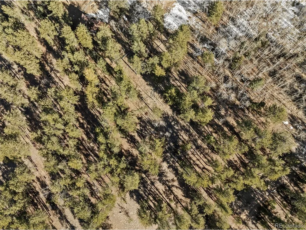 20 Echo Lake Drive Florissant, CO 80827