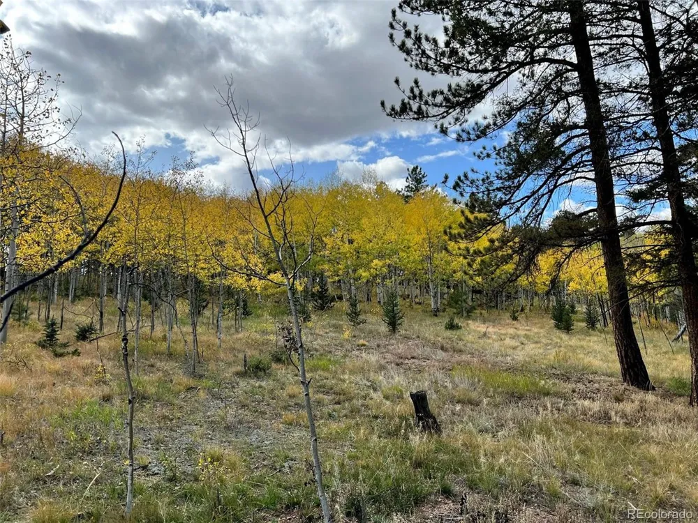 20 Echo Lake Drive Florissant, CO 80827