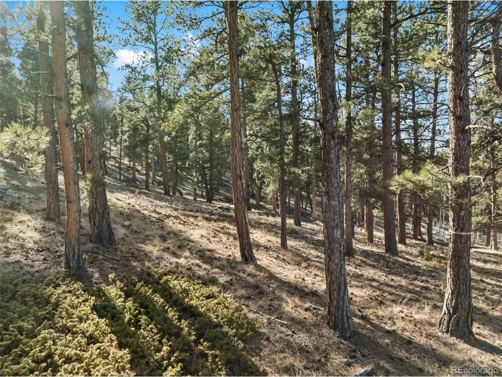 20 Echo Lake Drive Florissant, CO 80827