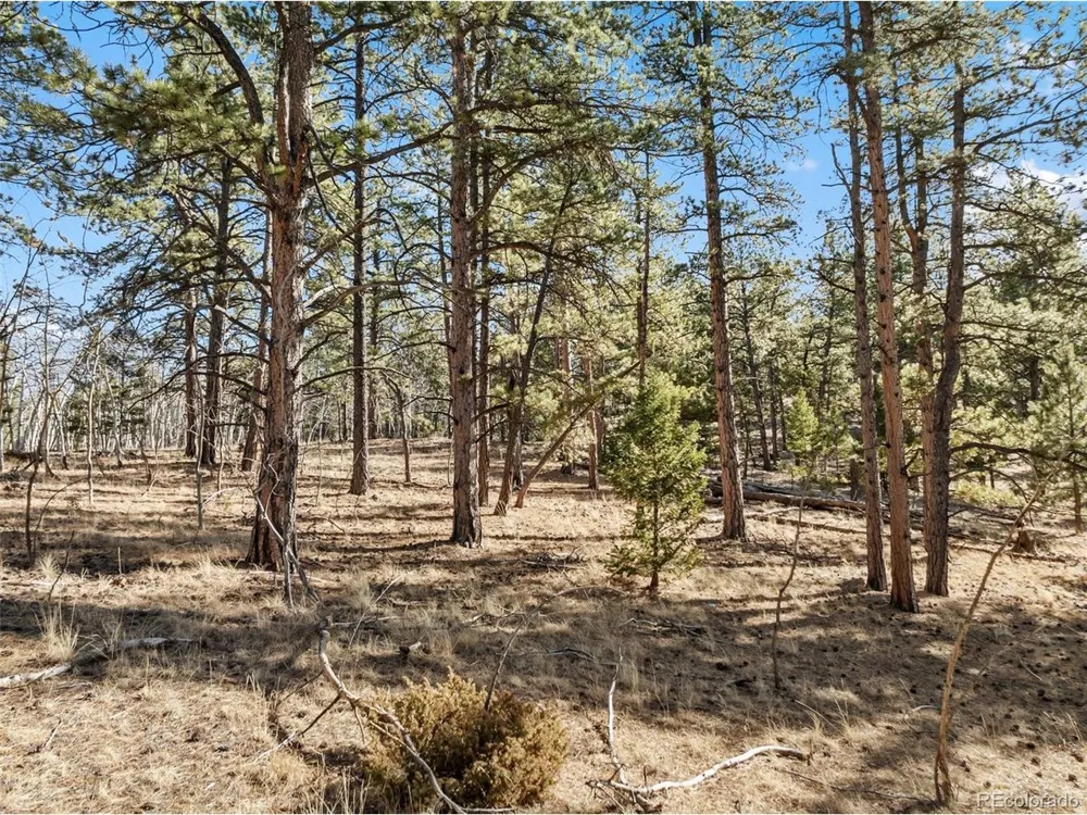 20 Echo Lake Drive Florissant, CO 80827