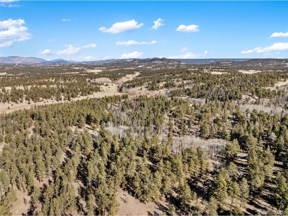 20 Echo Lake Drive Florissant, CO 80827