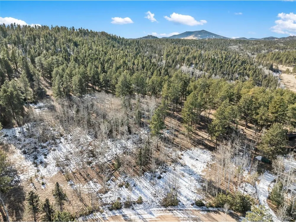 20 Echo Lake Drive Florissant, CO 80827