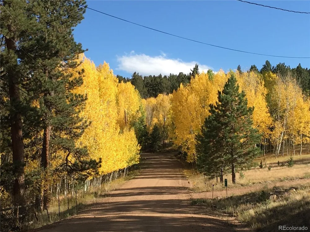 20 Echo Lake Drive Florissant, CO 80827