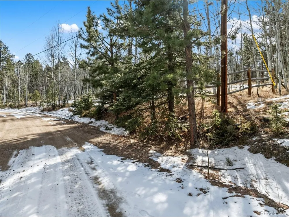 20 Echo Lake Drive Florissant, CO 80827