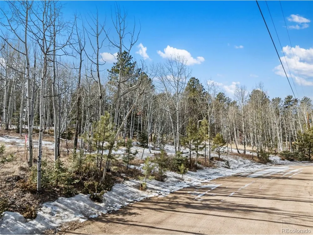 20 Echo Lake Drive Florissant, CO 80827