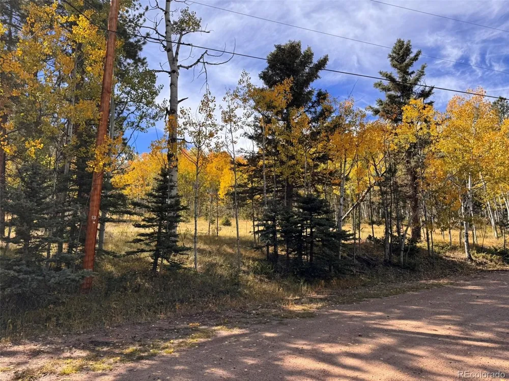 20 Echo Lake Drive Florissant, CO 80827