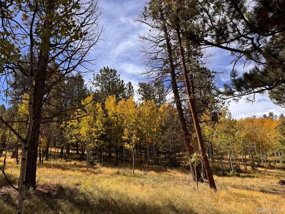 20 Echo Lake Drive Florissant, CO 80827