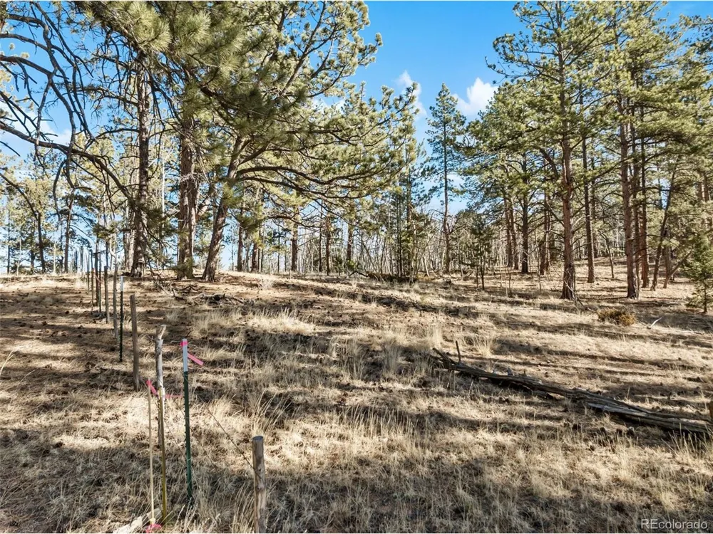 20 Echo Lake Drive Florissant, CO 80827