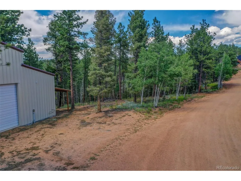 449 Woody Creek Road Florissant, CO 80816