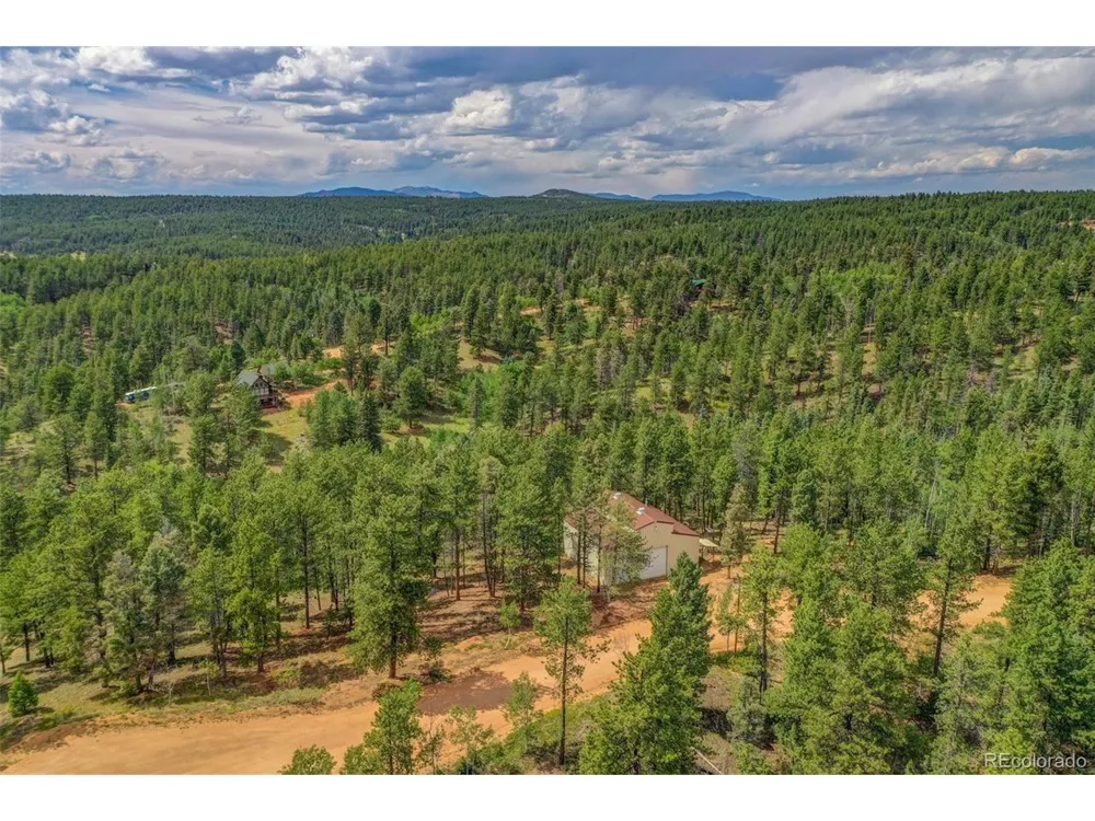 449 Woody Creek Road Florissant, CO 80816