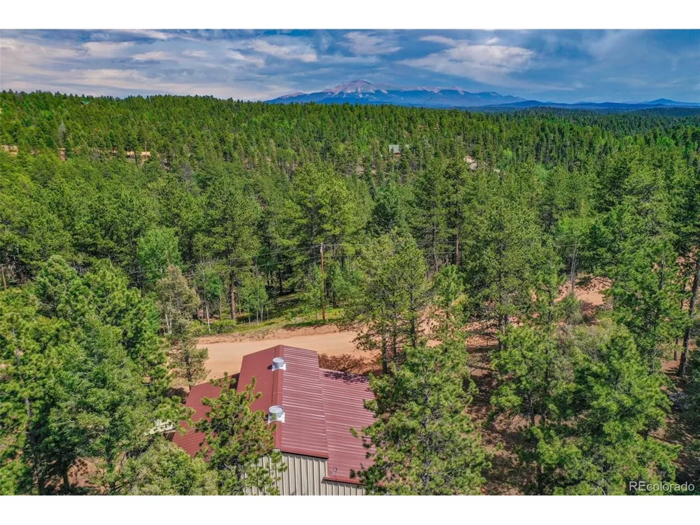 449 Woody Creek Road Florissant, CO 80816