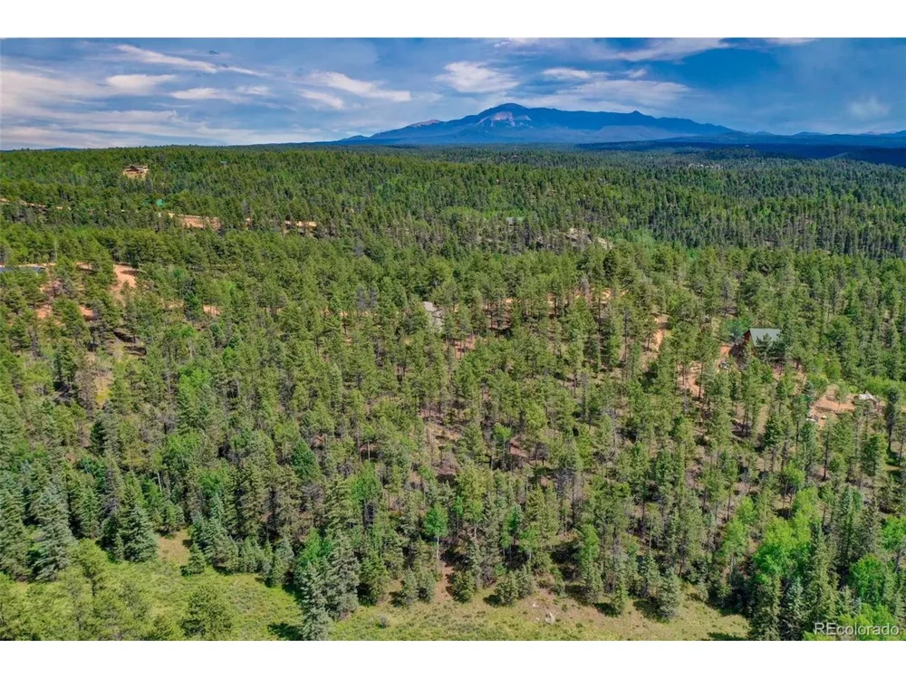 449 Woody Creek Road Florissant, CO 80816