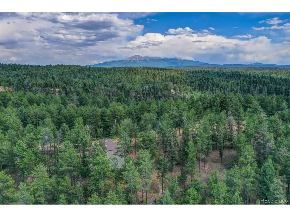 449 Woody Creek Road Florissant, CO 80816