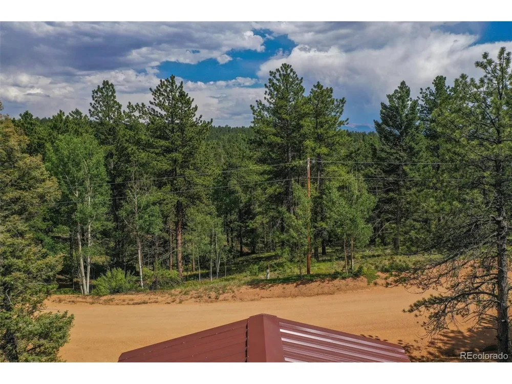 449 Woody Creek Road Florissant, CO 80816