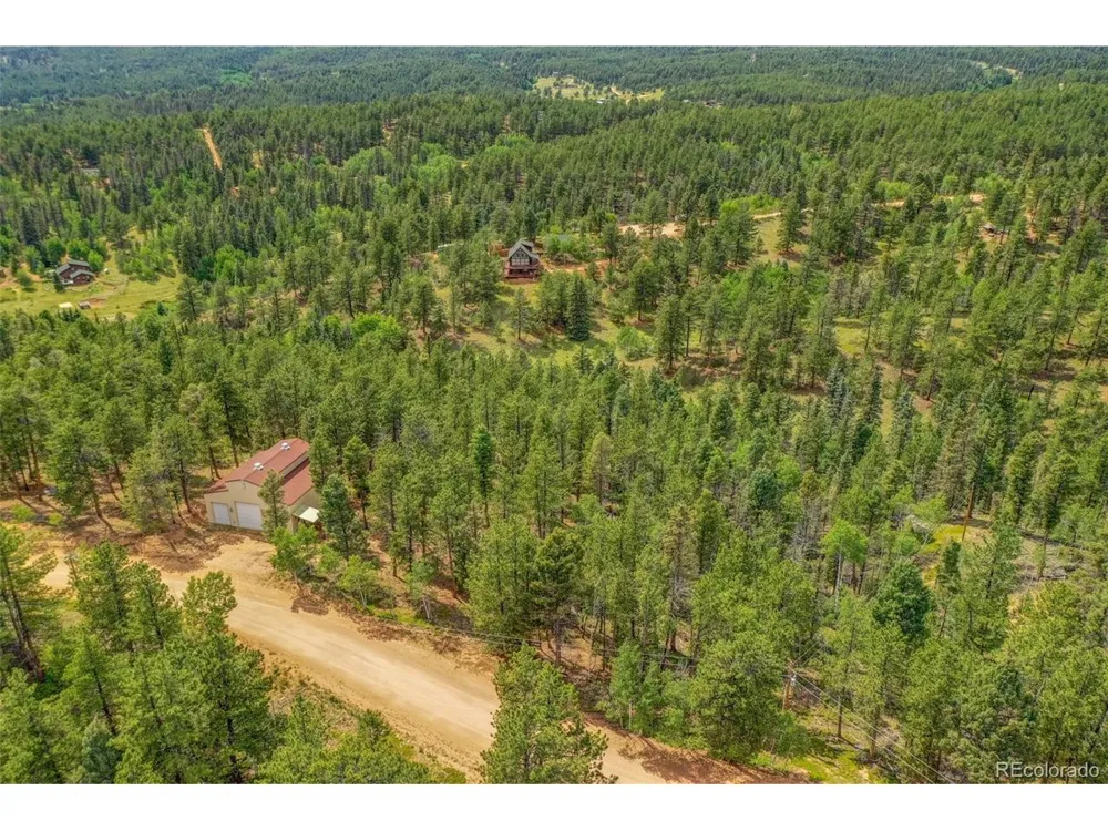 449 Woody Creek Road Florissant, CO 80816
