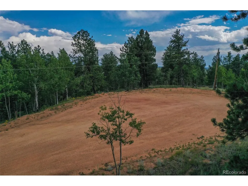 449 Woody Creek Road Florissant, CO 80816