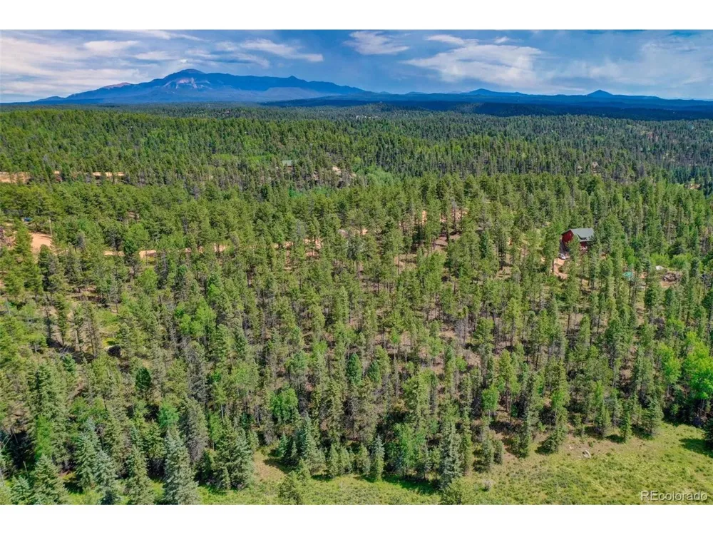 449 Woody Creek Road Florissant, CO 80816