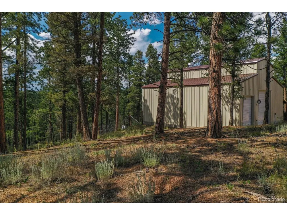 449 Woody Creek Road Florissant, CO 80816