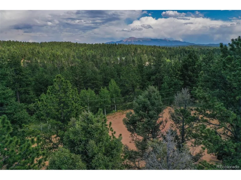 449 Woody Creek Road Florissant, CO 80816