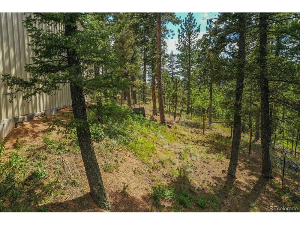 449 Woody Creek Road Florissant, CO 80816