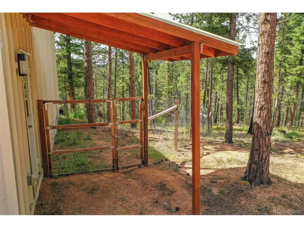 449 Woody Creek Road Florissant, CO 80816
