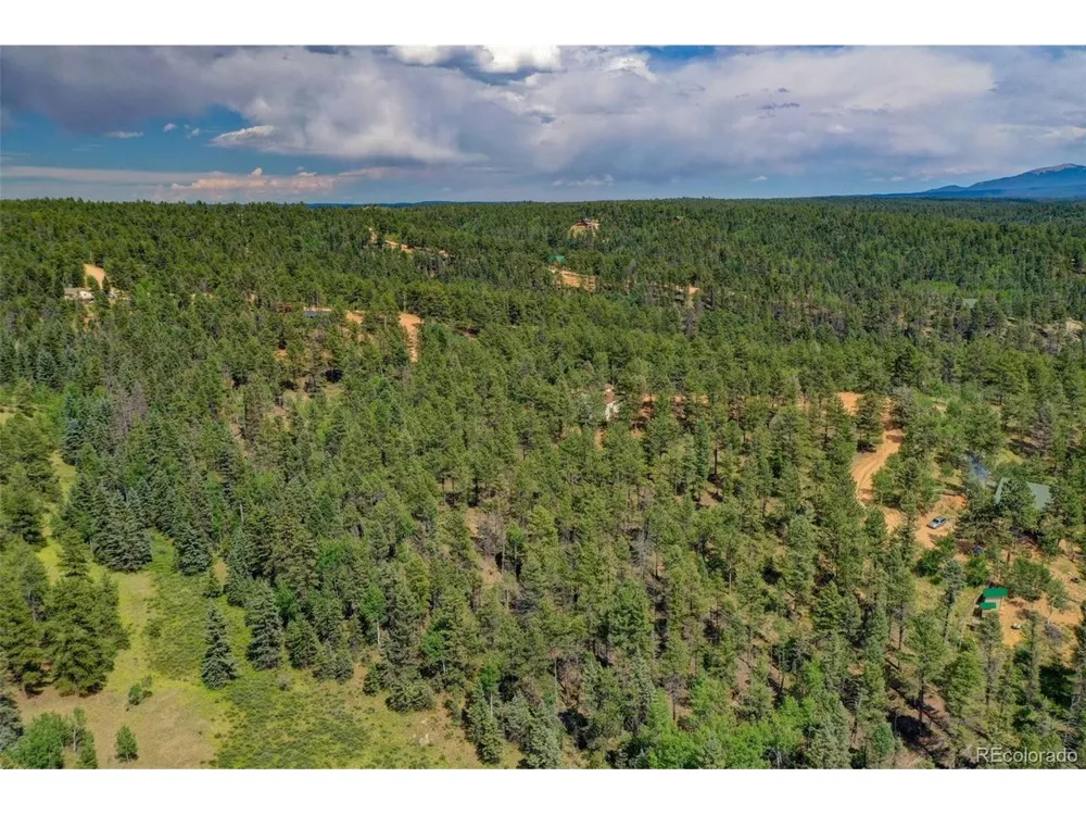 449 Woody Creek Road Florissant, CO 80816