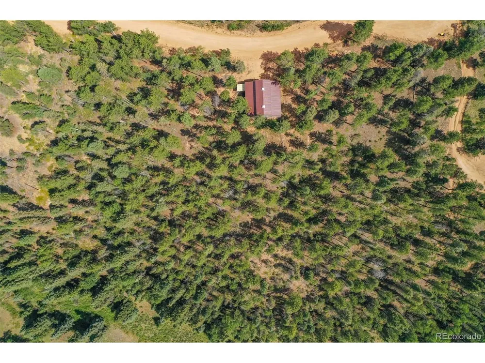 449 Woody Creek Road Florissant, CO 80816