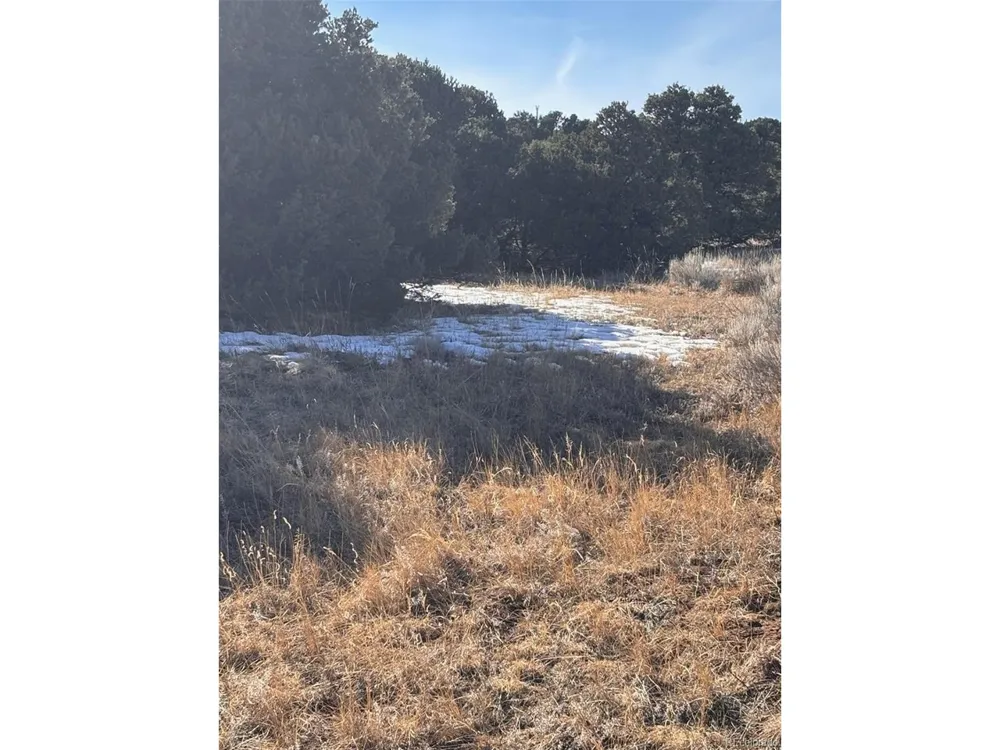 Address Not Shown Walsenburg, CO 81089