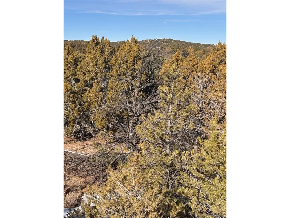 Address Not Shown Walsenburg, CO 81089