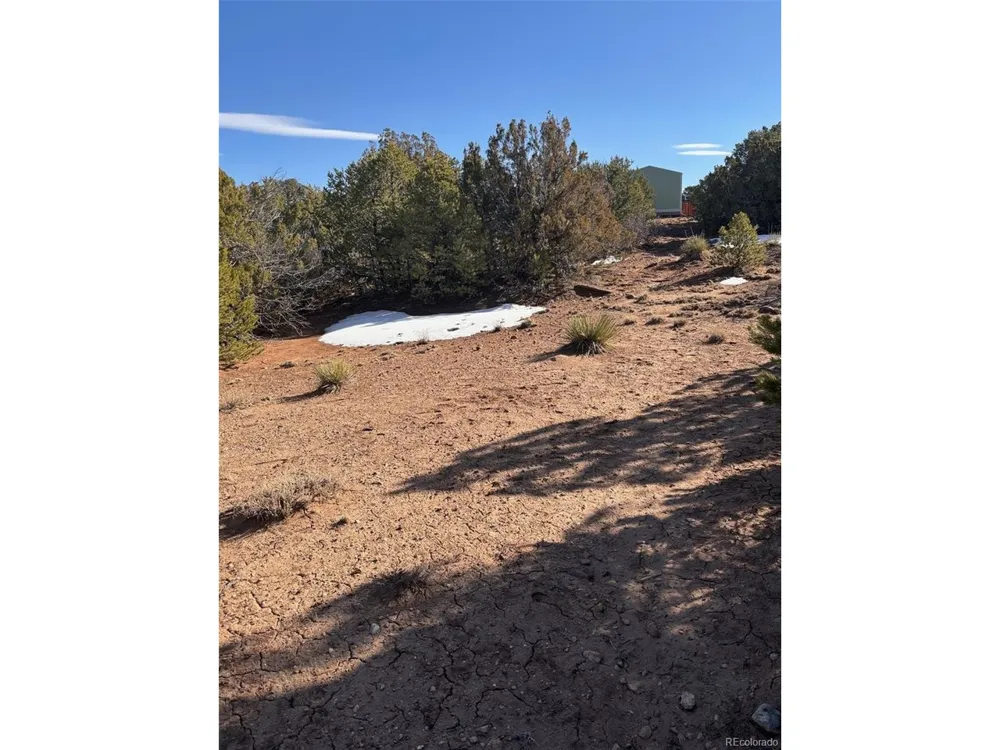 Address Not Shown Walsenburg, CO 81089